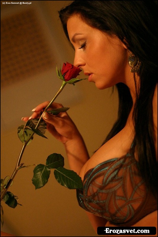 Эро фотосет Ewa Sonnet - Rose в нижнем белье среди лепестков розы (20 эро фото)